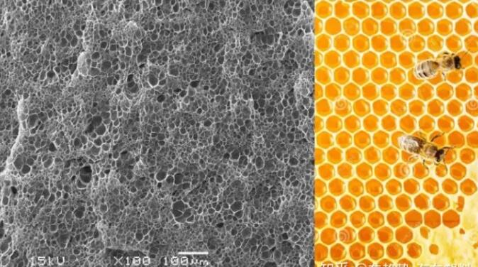 epp發(fā)泡聚丙烯的顯微結(jié)構(gòu)，可以看到這是種連續(xù)閉孔結(jié)構(gòu)，類(lèi)似于蜂窩